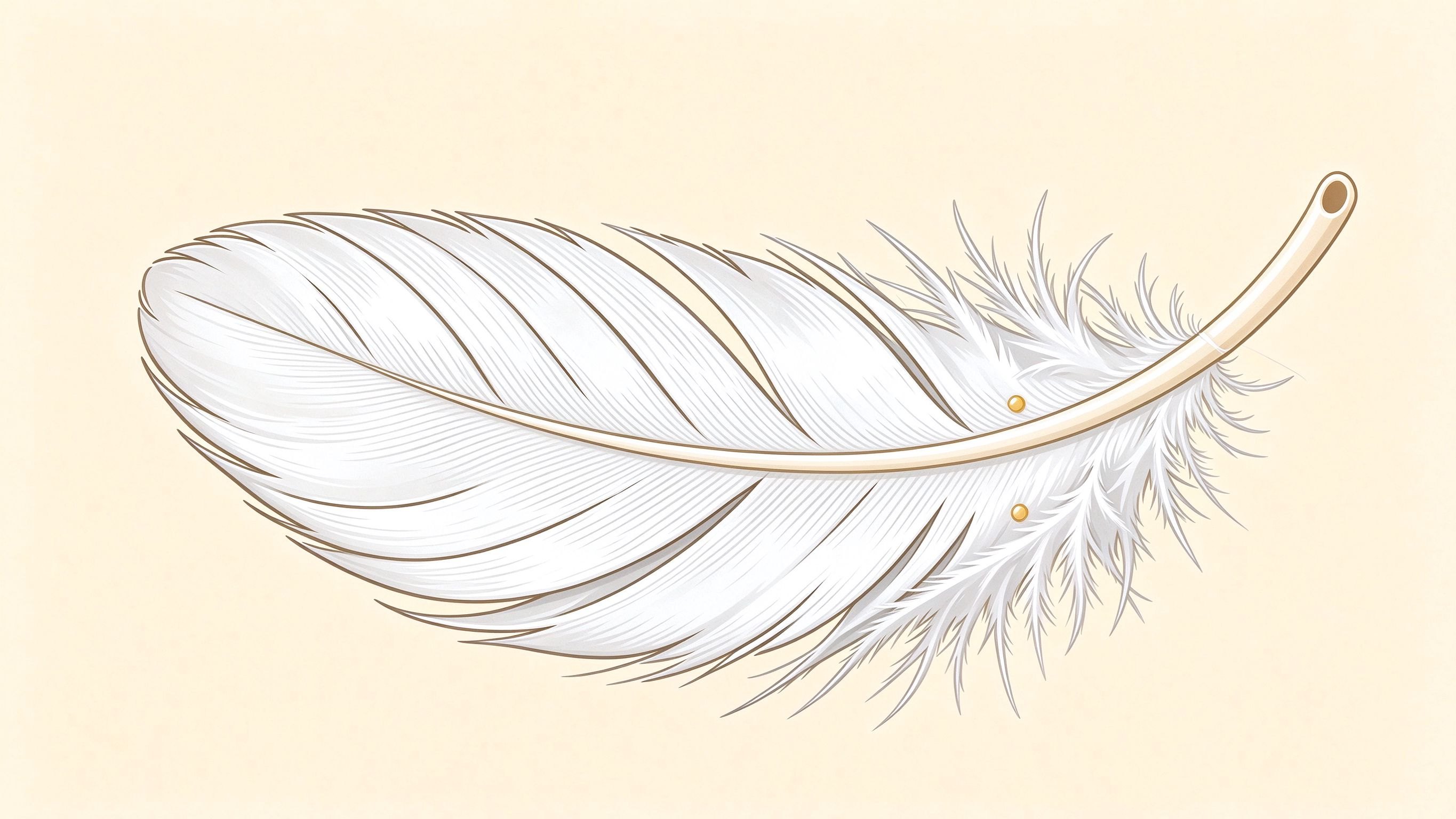 Contour feather annotated picture vocabulary with labeled objects