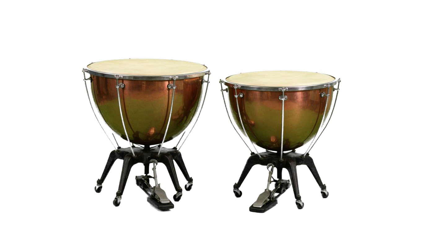 Timpani annotated picture vocabulary with labeled objects