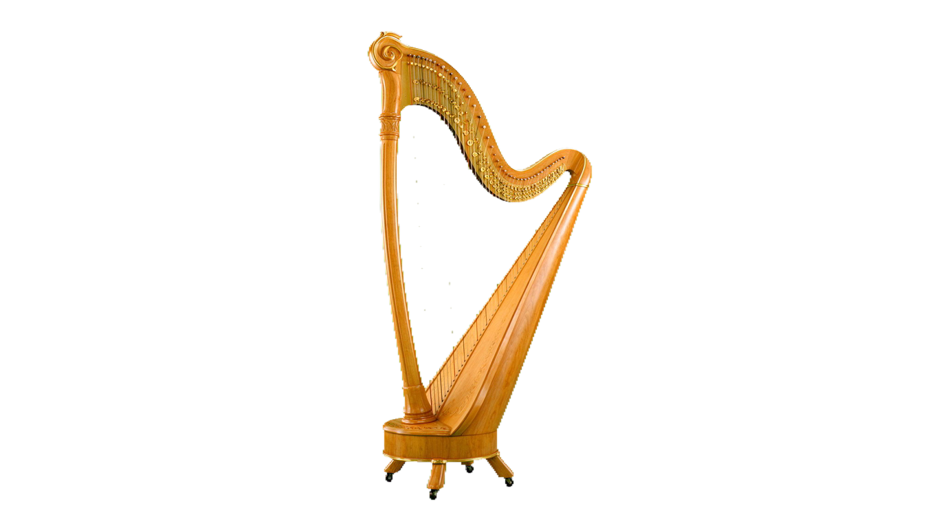 Harp annotated picture vocabulary with labeled objects