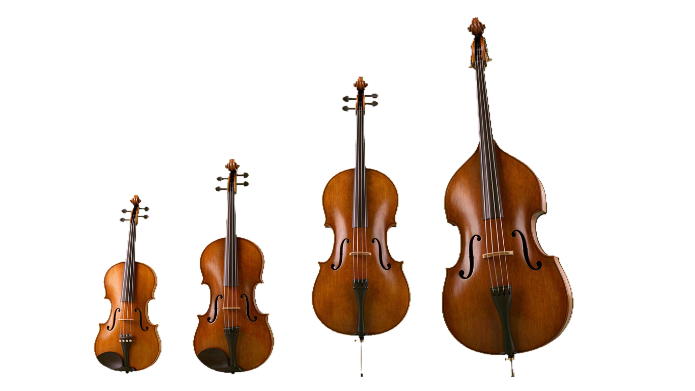 Violin family annotated picture vocabulary with labeled objects