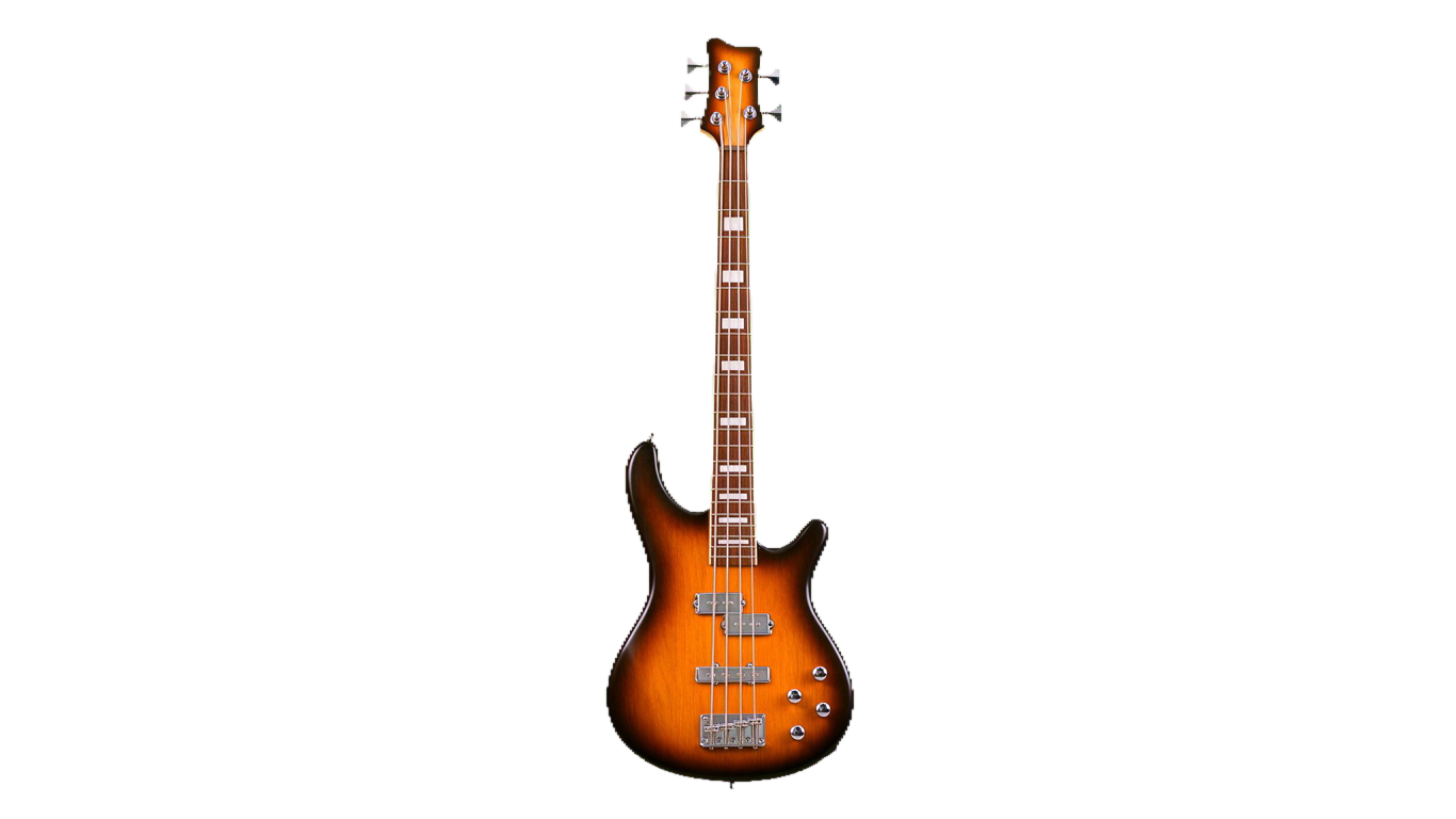 Bass guitar annotated picture vocabulary with labeled objects