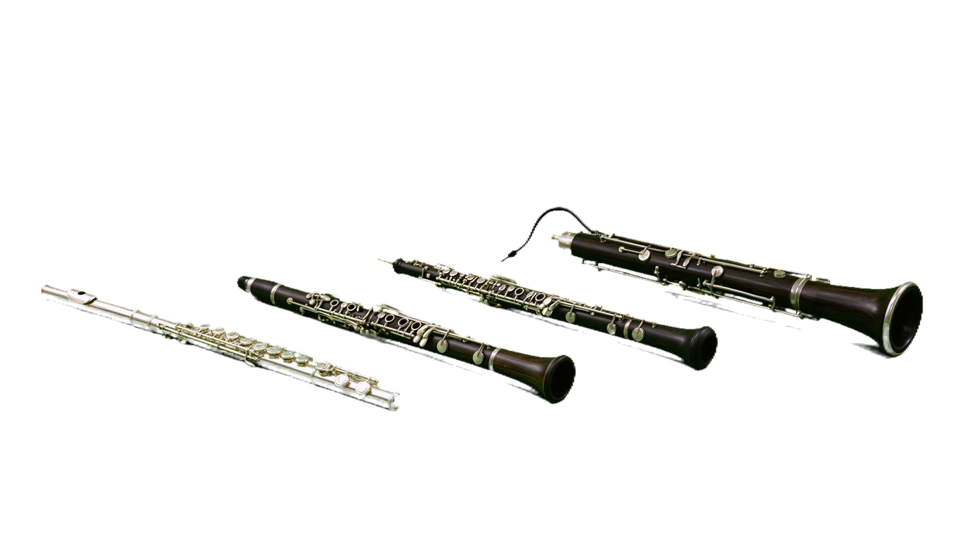 Wind instruments 3 annotated picture vocabulary with labeled objects
