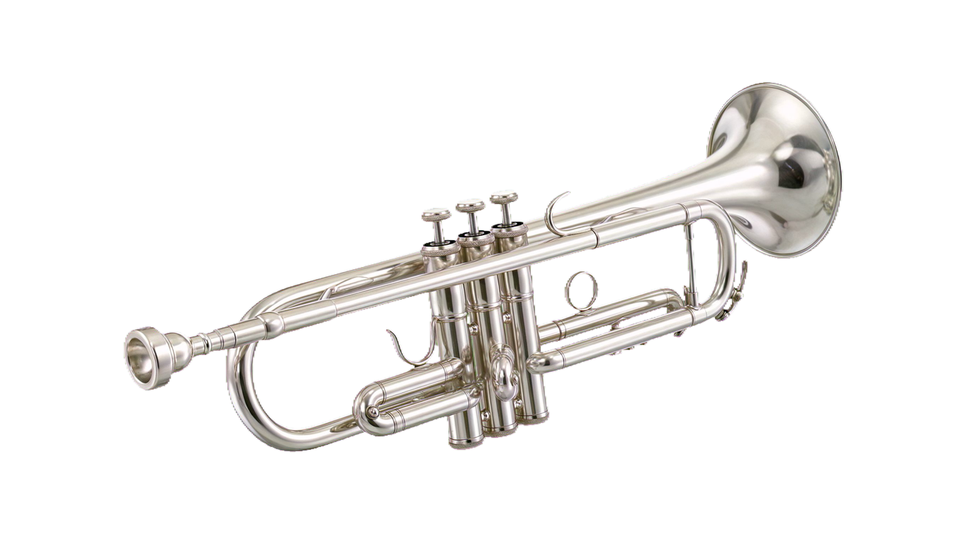 Trumpet annotated picture vocabulary with labeled objects