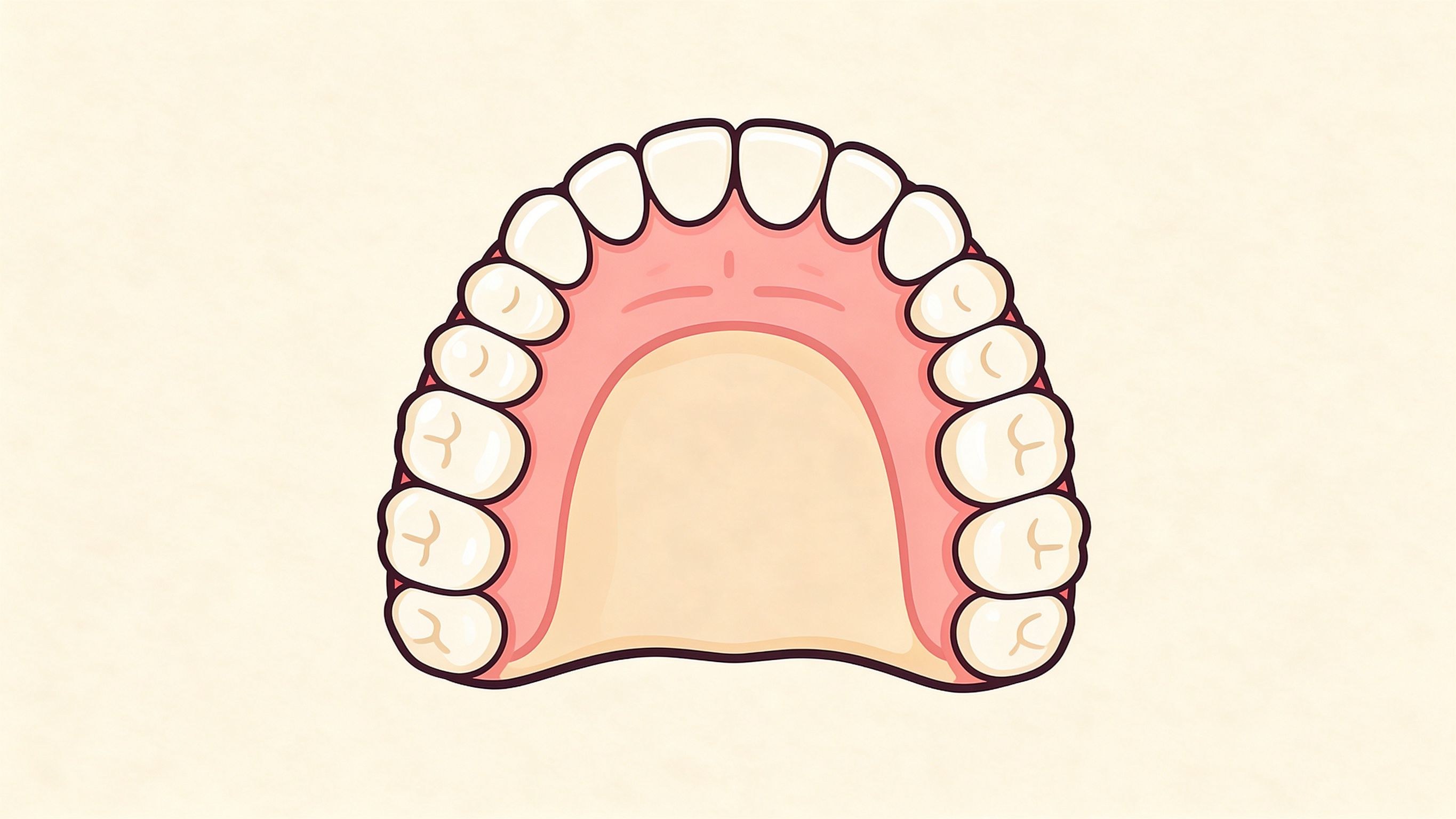 Human dentition annotated picture vocabulary with labeled objects