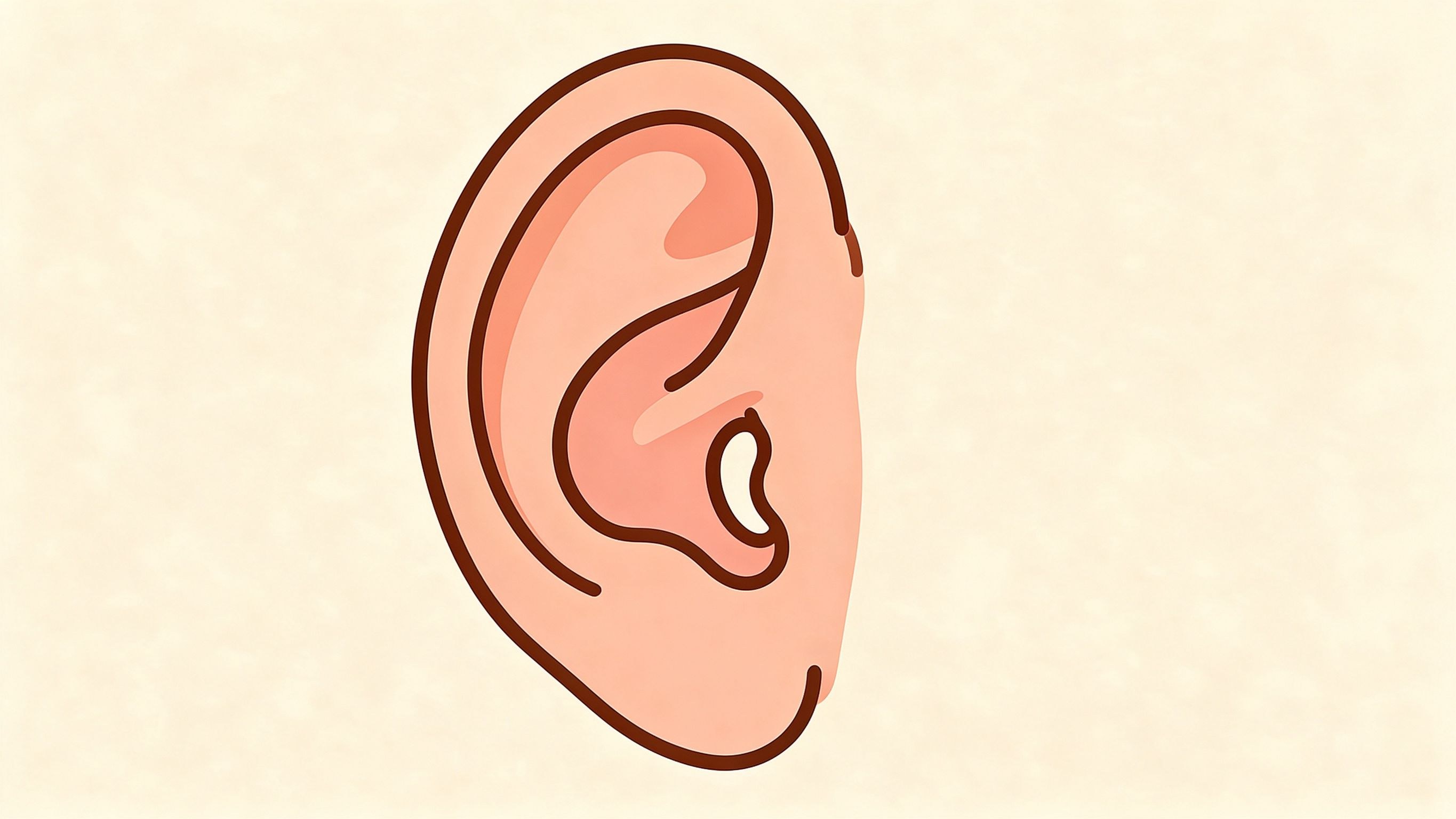 Auricle annotated picture vocabulary with labeled objects