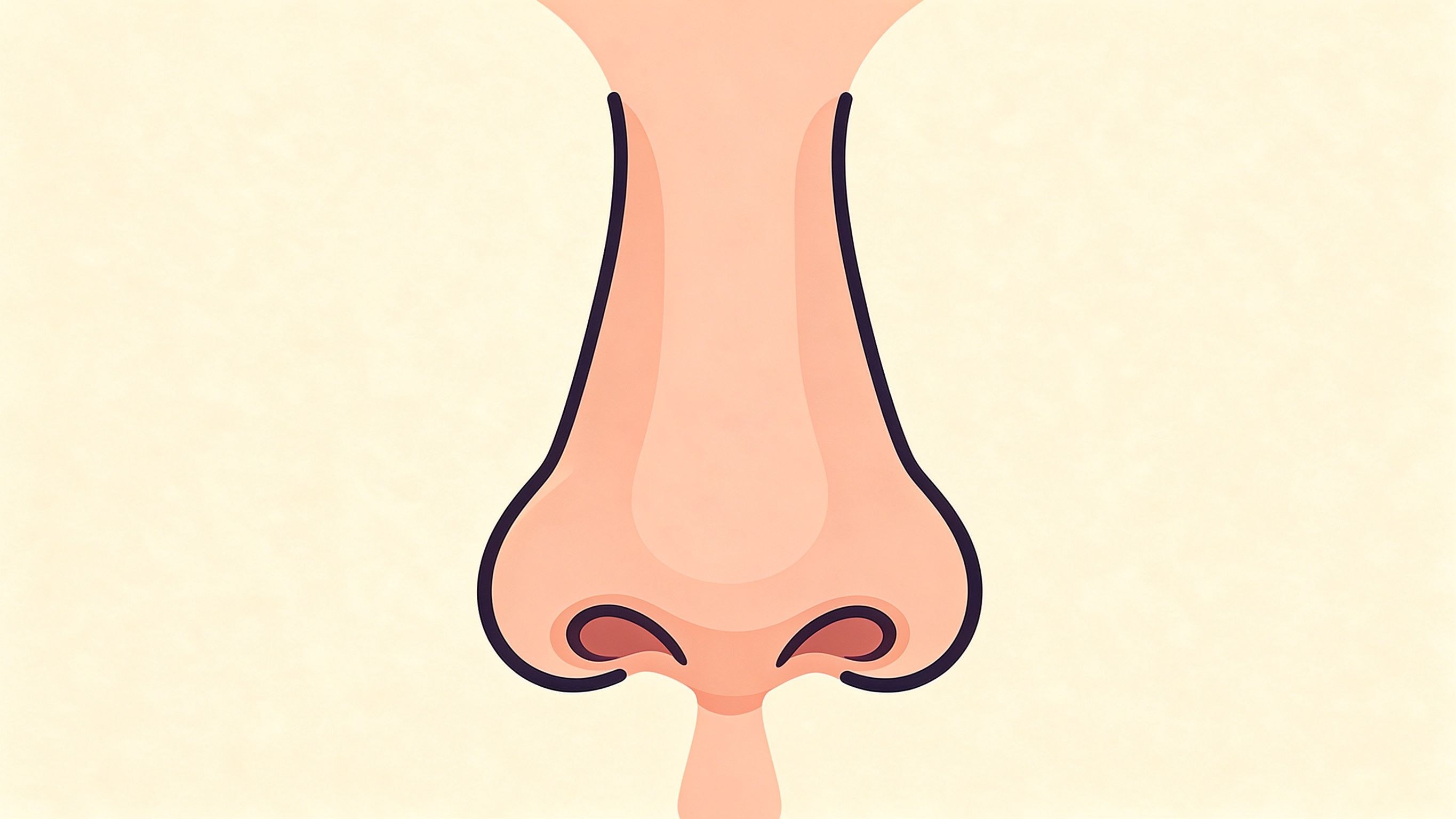 External nose annotated picture vocabulary with labeled objects