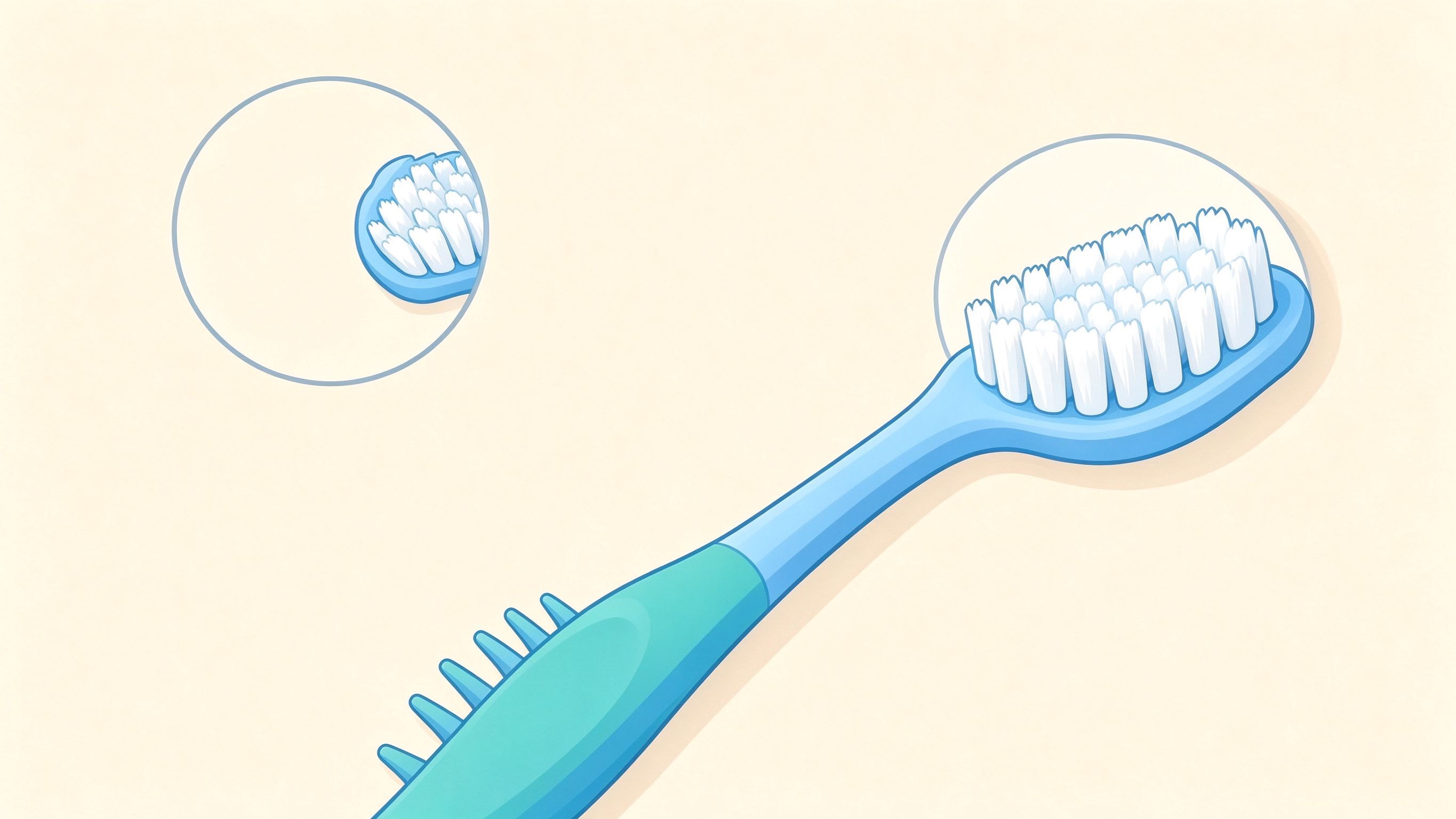 Toothbrush annotated picture vocabulary with labeled objects