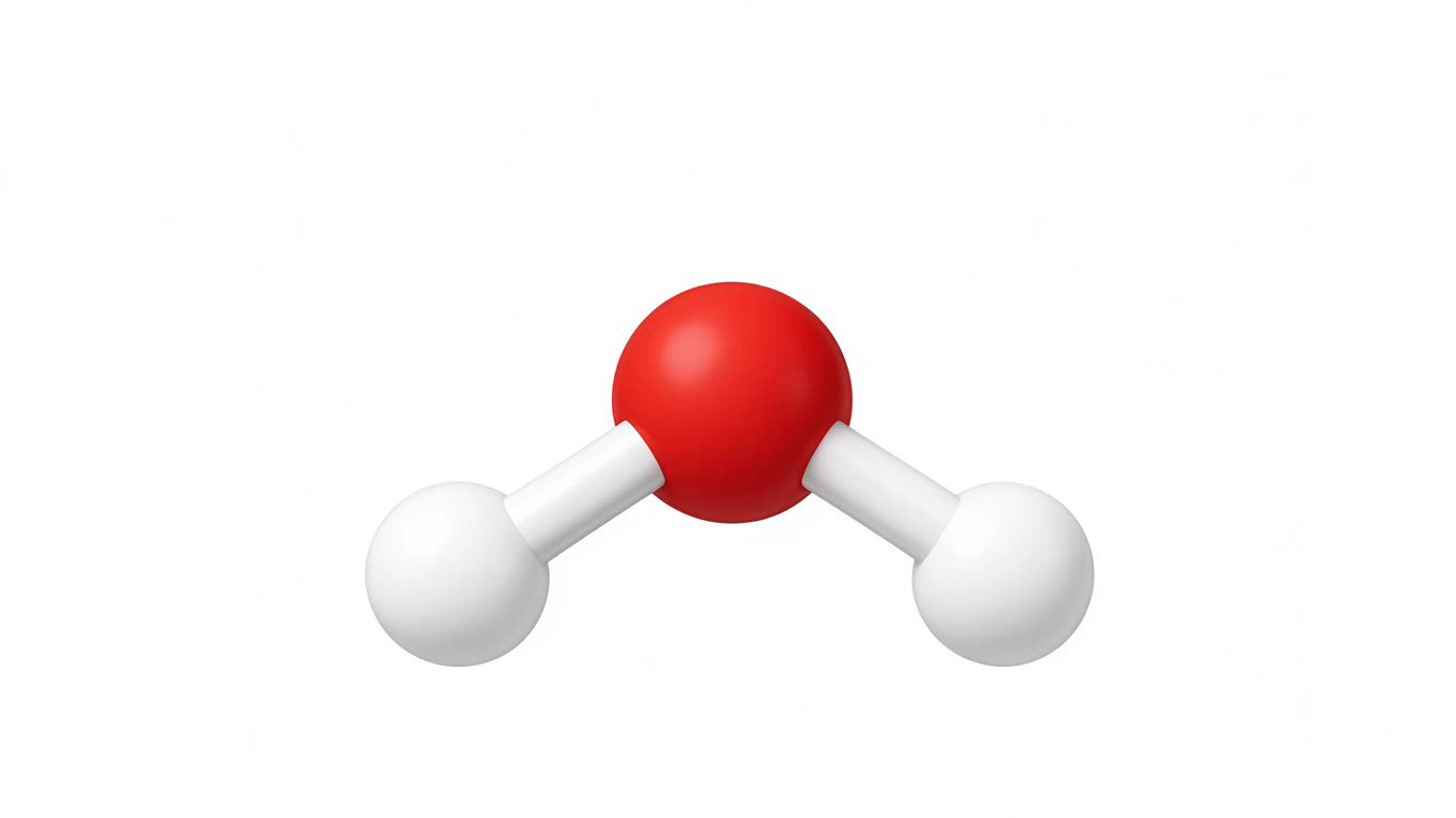 Molecules annotated picture vocabulary with labeled objects
