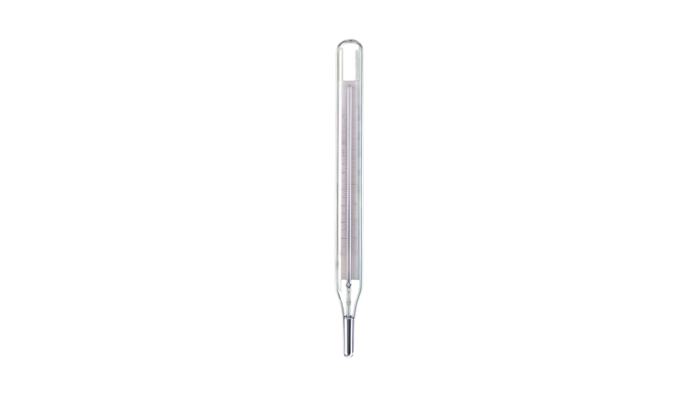 Clinical thermometer annotated picture vocabulary with labeled objects