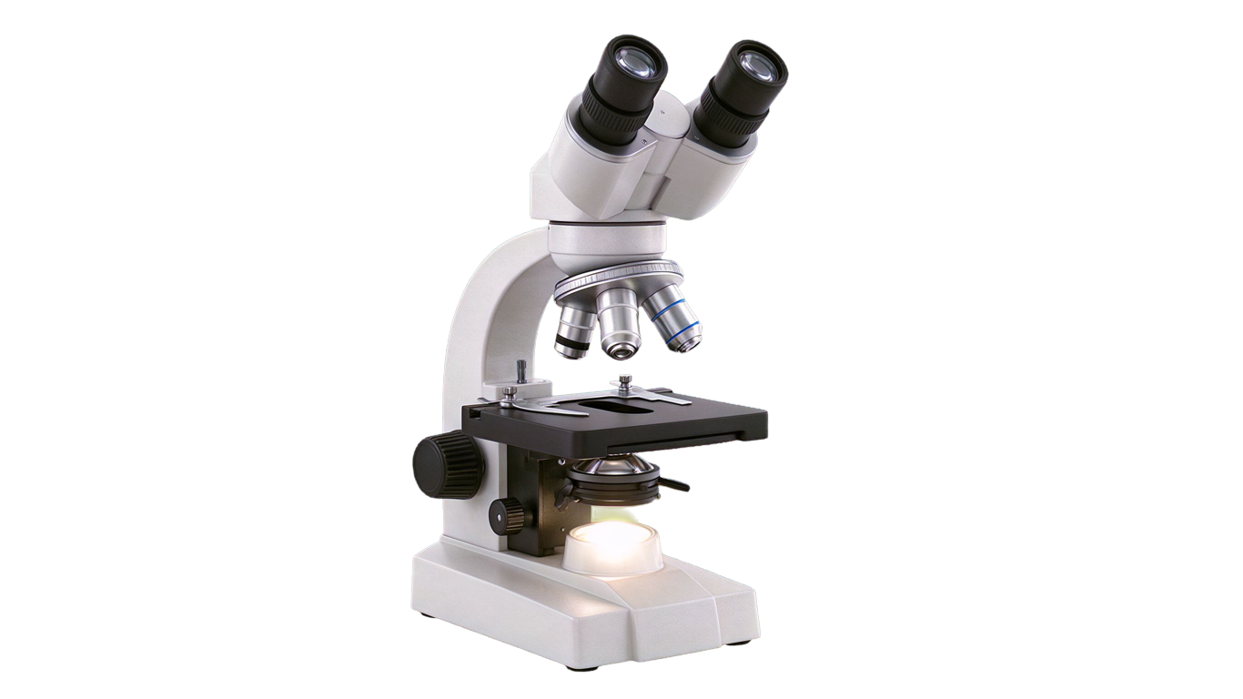 Binocular microscope annotated picture vocabulary with labeled objects