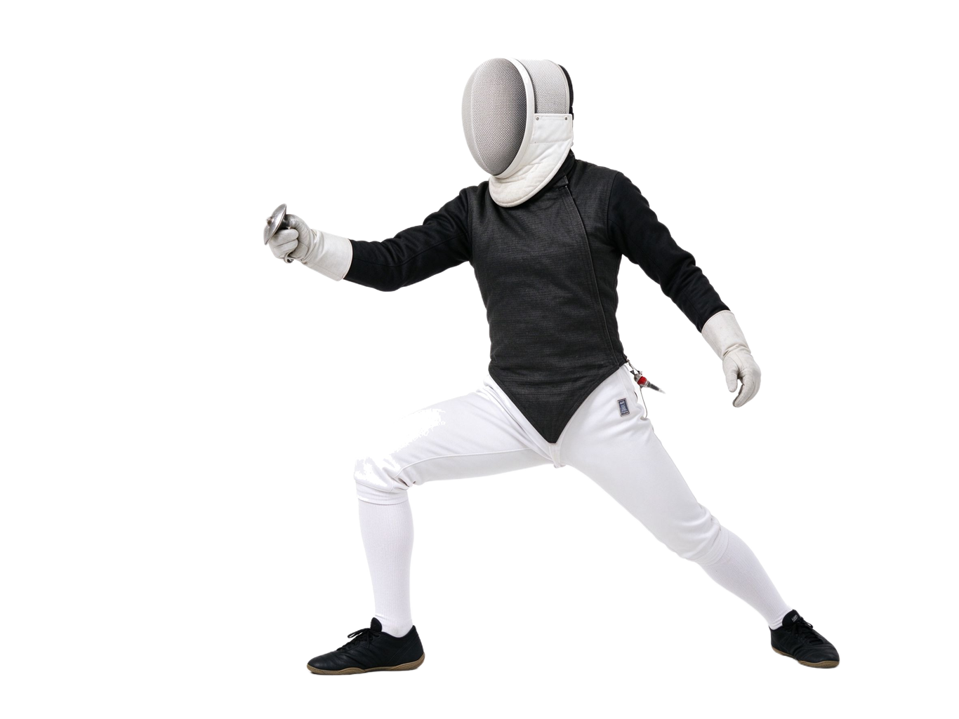 Fencing stance annotated picture vocabulary with labeled objects