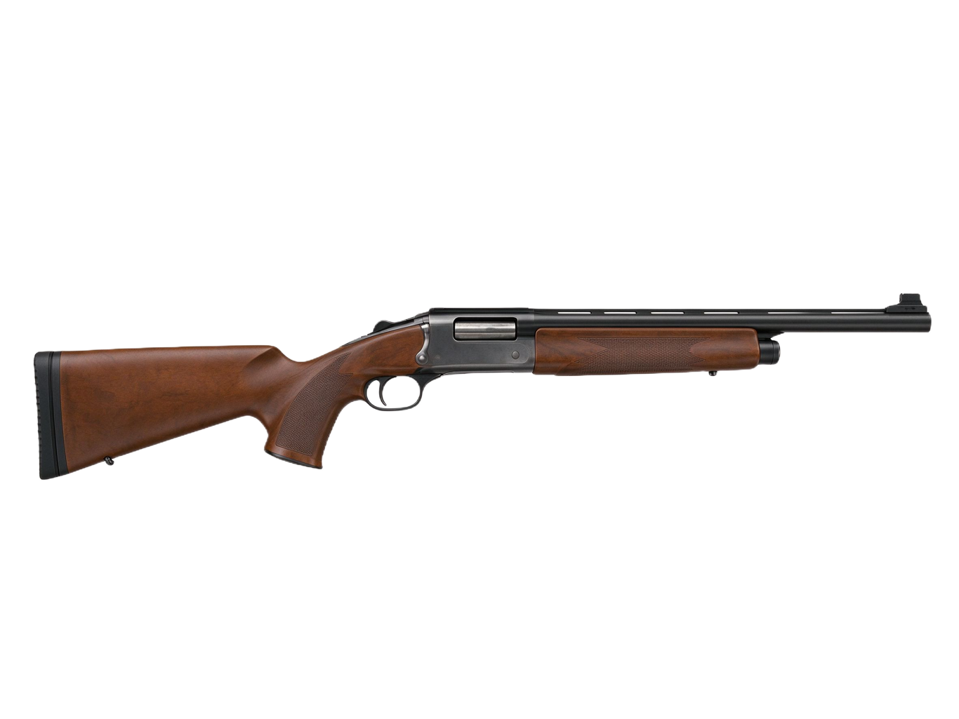 Shotgun annotated picture vocabulary with labeled objects