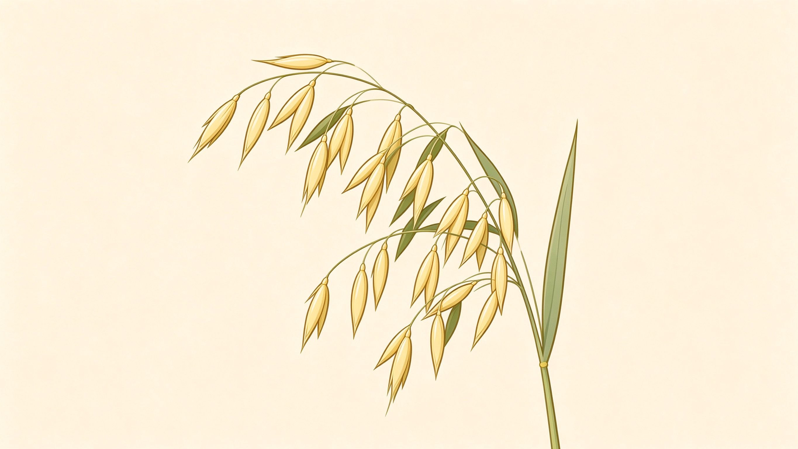 Oat panicle annotated picture vocabulary with labeled objects
