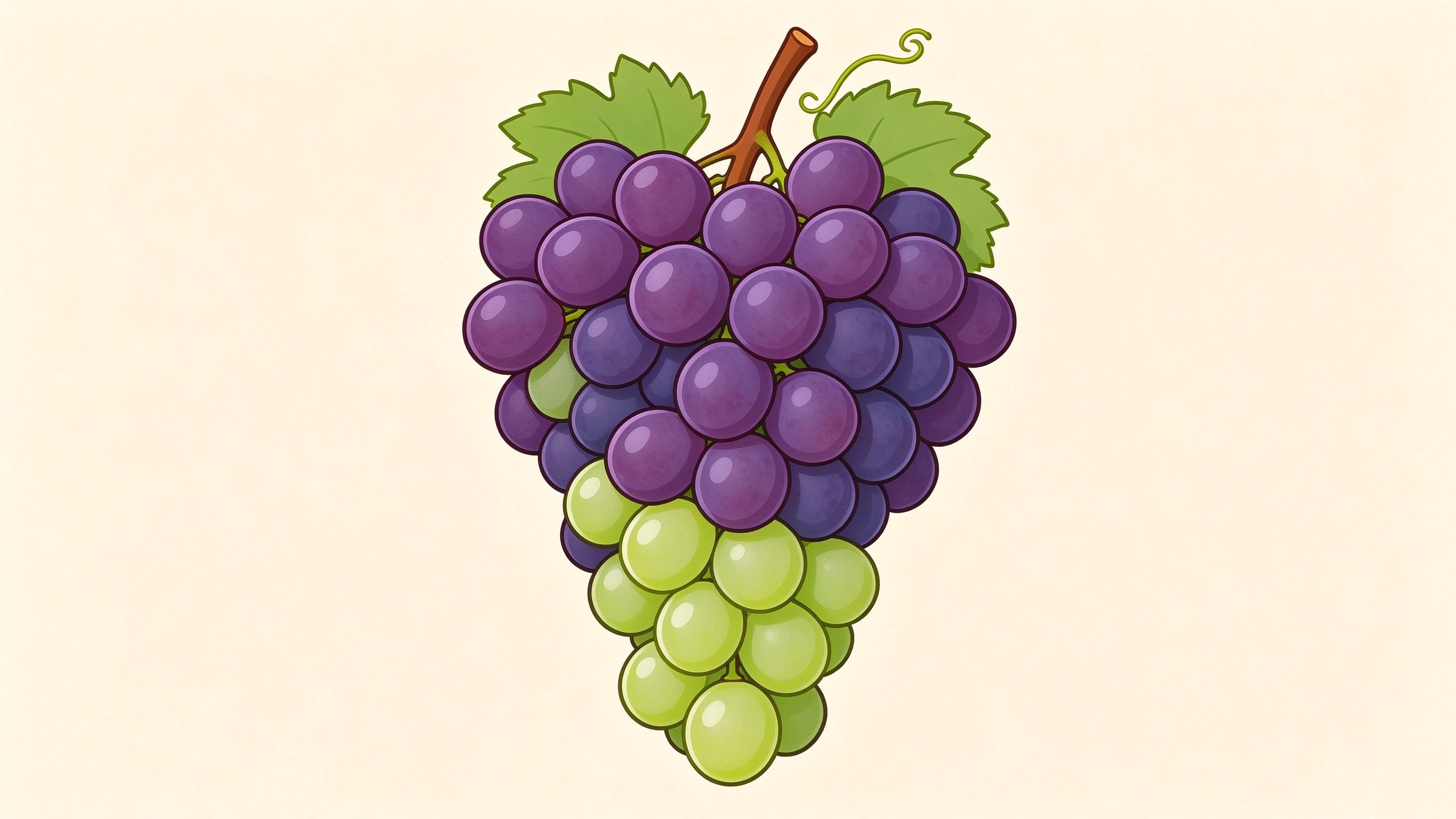Bunch of grapes annotated picture vocabulary with labeled objects