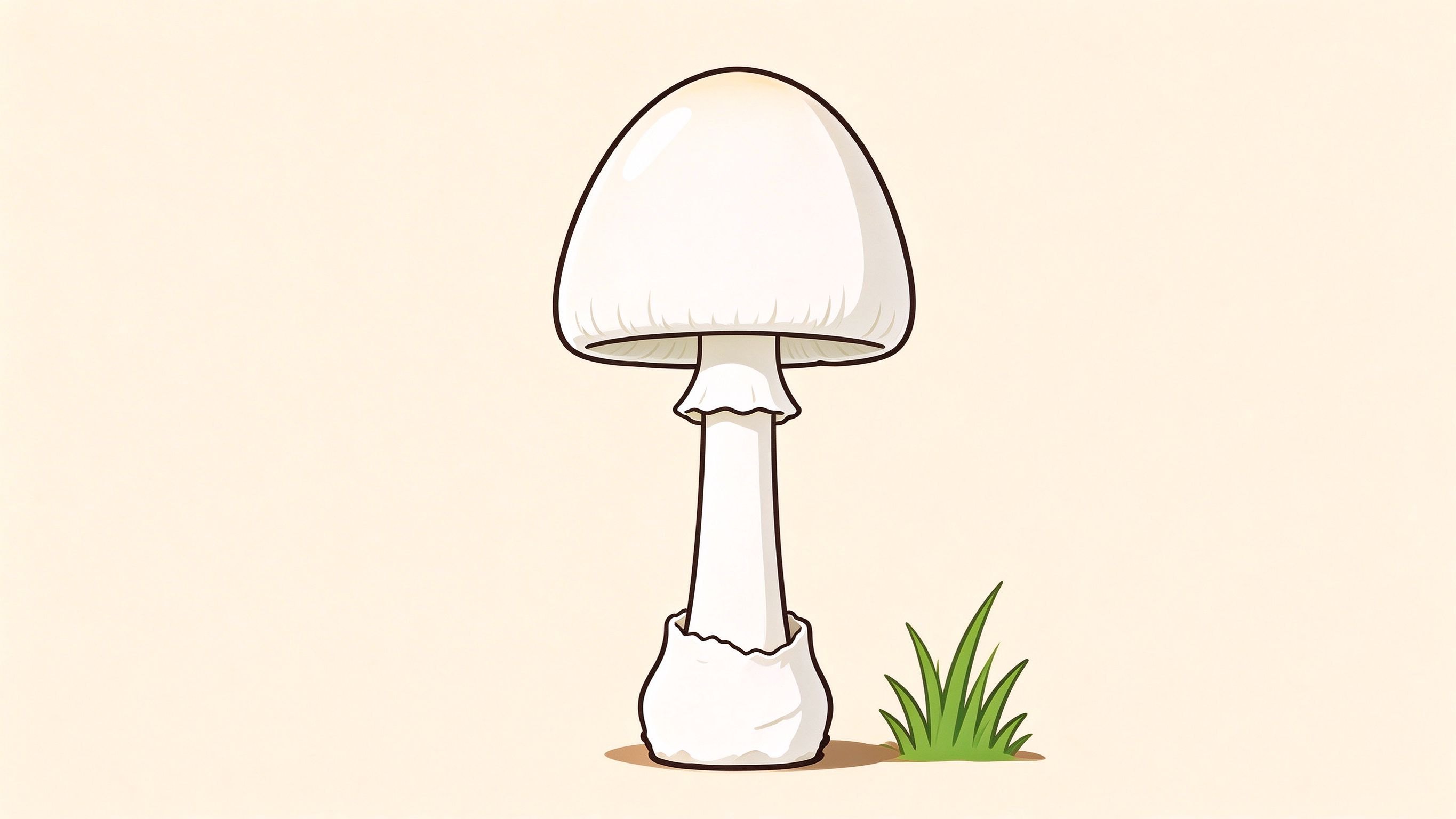 Death cap mushroom annotated picture vocabulary with labeled objects